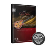 Best Service - Chris Hein Guitars