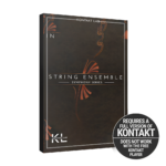 Native Instruments - String Ensemble