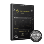 Rigid Audio - Perception