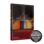 Best Service - Chris Hein Solo Strings