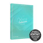 ProjectSAM Colours - Orchestrator