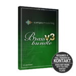 Sample Modeling – Brass Bundle