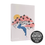 Native Instruments - Play Series - SWAY