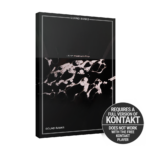 Native Instruments – Leap Platinum Pop