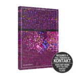 Native Instruments – Leap Disco & Funk