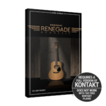 Indiginus - Renegade Acoustic Guitar