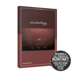 Evolution Series - World Strings Guzheng