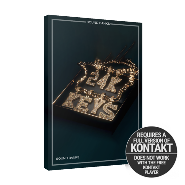 Native Instruments - Play Series 24K Keys