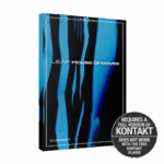 Native Instruments - Leap House Grooves