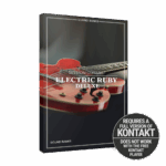 Native Instruments - Electric Ruby Deluxe