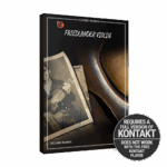 Embertone - Friedlander Violin