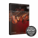 Best Service - Chris Hein Ensemble Strings