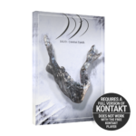 Silence+Other Sounds - Dojo