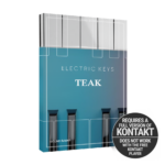 Native Instruments - Electric Keys Teak