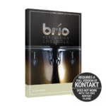 Indiginus - Brio Percussion Ensemble