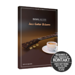 Have Audio – Jazz Guitar Octaves