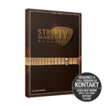 Indiginus - StrumMaker IV Acoustic Guitar