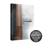 Impact Soundworks - Shreddage 3 E-Upright
