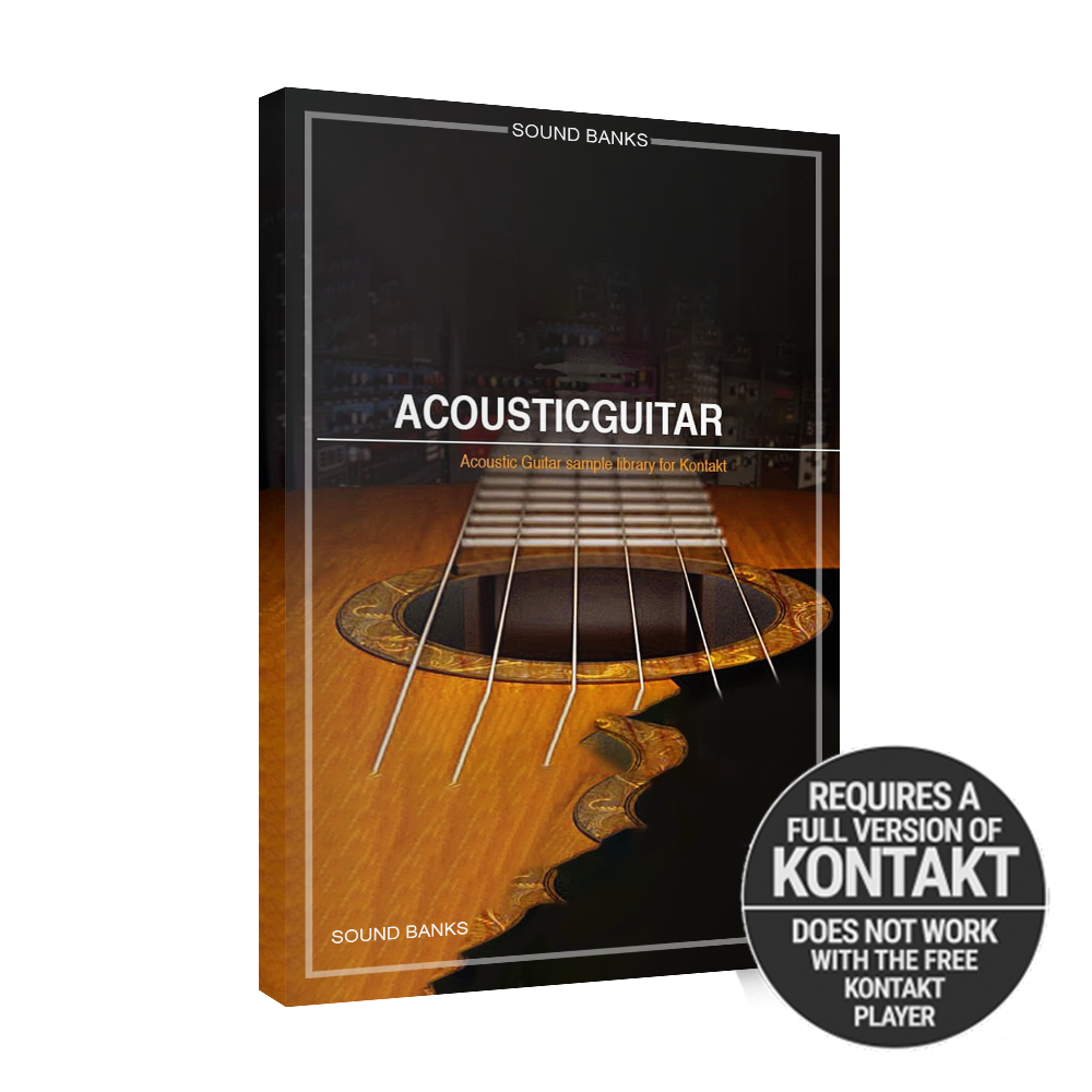 Acoustic Guitar